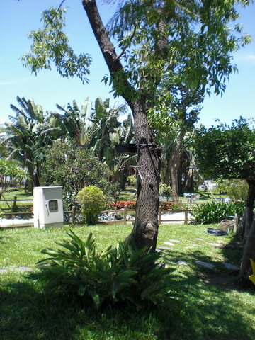 按此在新視窗瀏覽圖片