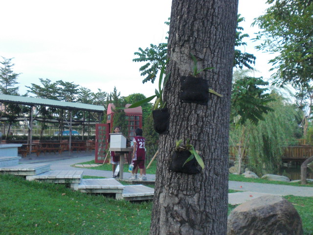 按此在新視窗瀏覽圖片