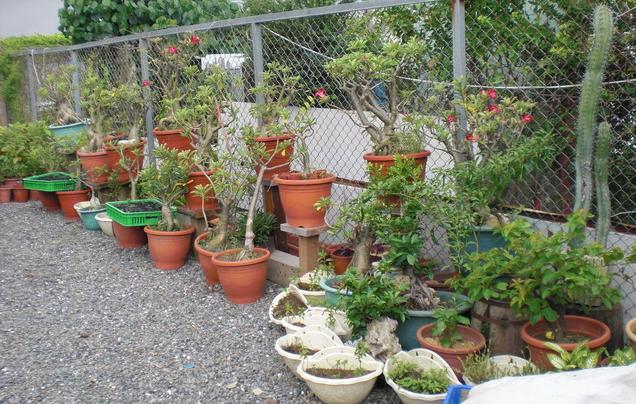 按此在新視窗瀏覽圖片