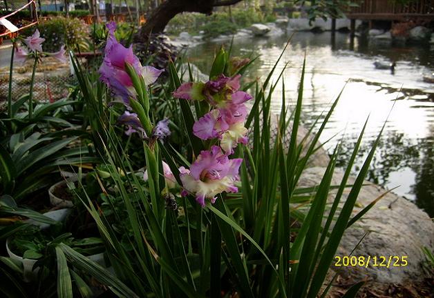 按此在新視窗瀏覽圖片