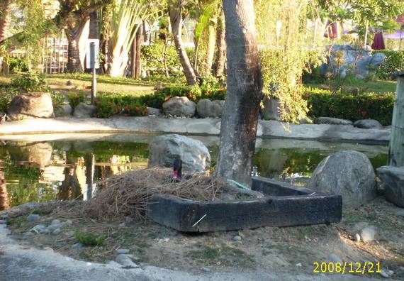 按此在新視窗瀏覽圖片