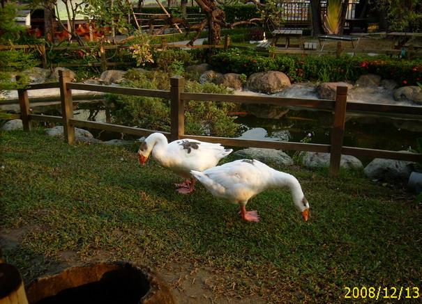 按此在新視窗瀏覽圖片