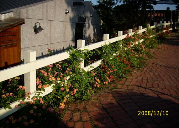 按此在新視窗瀏覽圖片