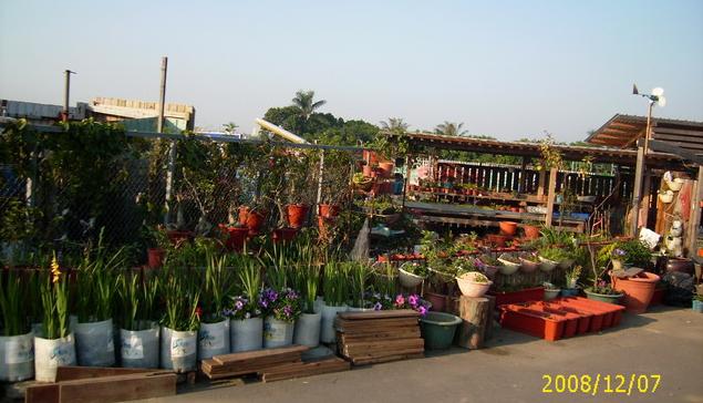 按此在新視窗瀏覽圖片