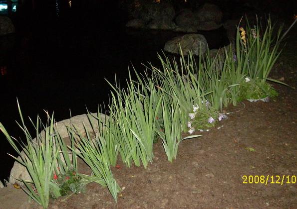 按此在新視窗瀏覽圖片