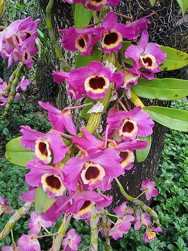 按此在新視窗瀏覽圖片