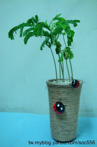 «ö¦¹¦b·sµøµ¡ÂsÄý¹Ï¤ù