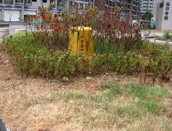 按此在新視窗瀏覽圖片