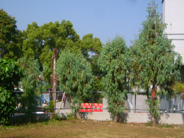 按此在新視窗瀏覽圖片