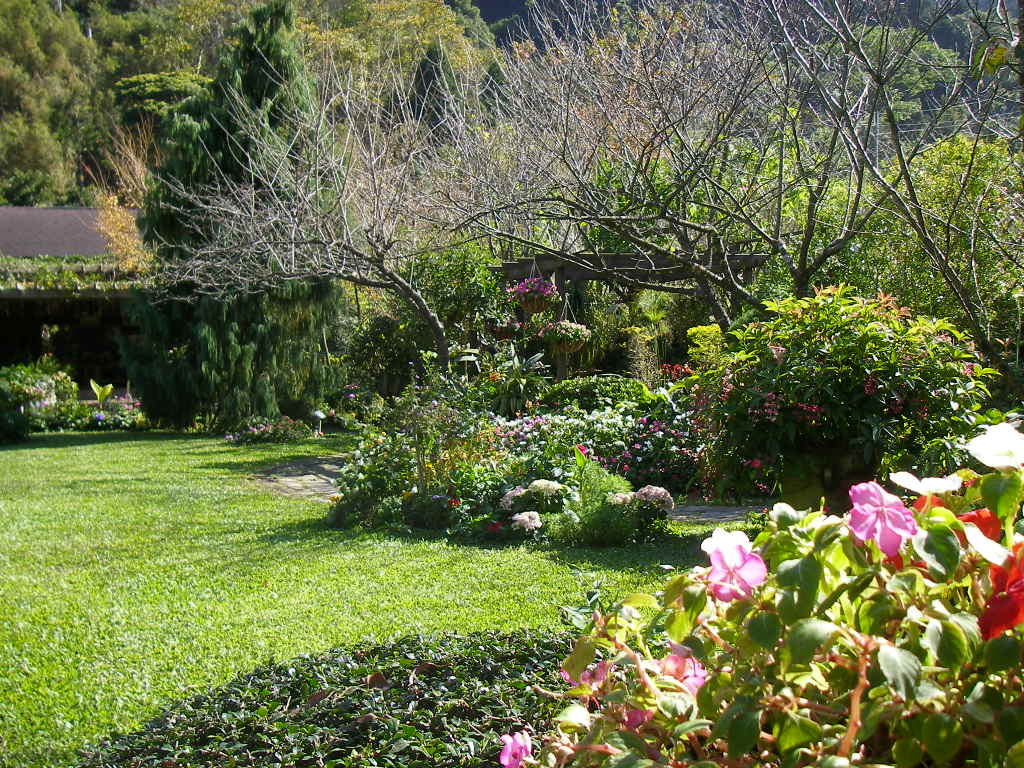 按此在新視窗瀏覽圖片