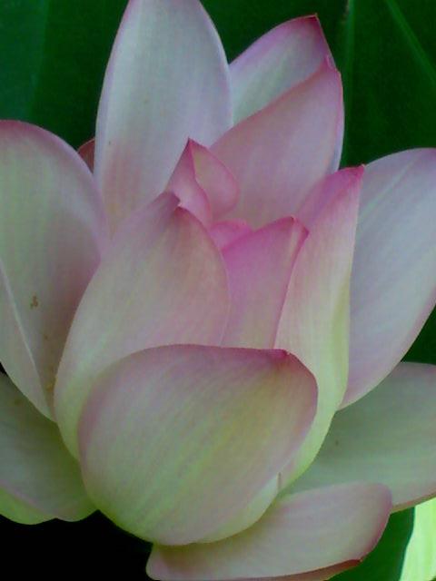 按此在新視窗瀏覽圖片