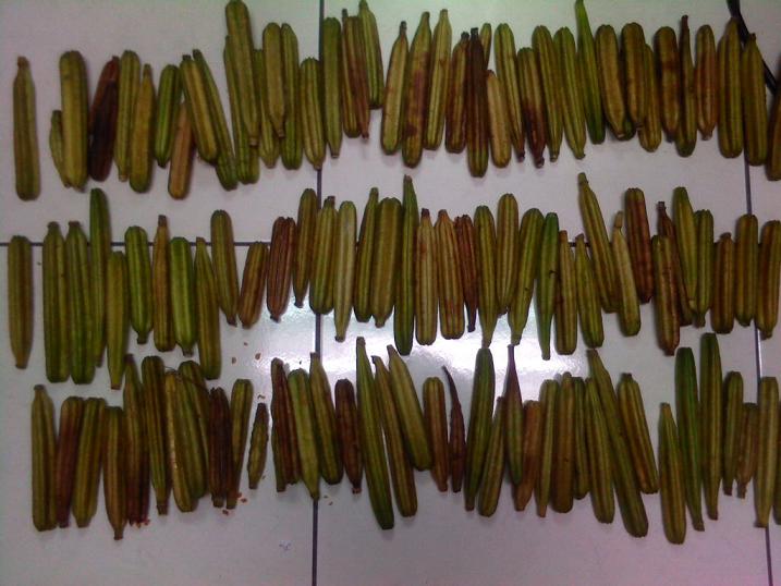 «ö¦¹¦b·sµøµ¡ÂsÄý¹Ï¤ù