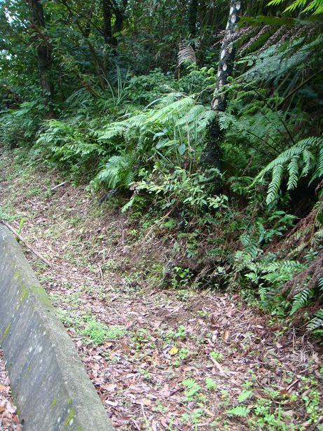 按此在新視窗瀏覽圖片