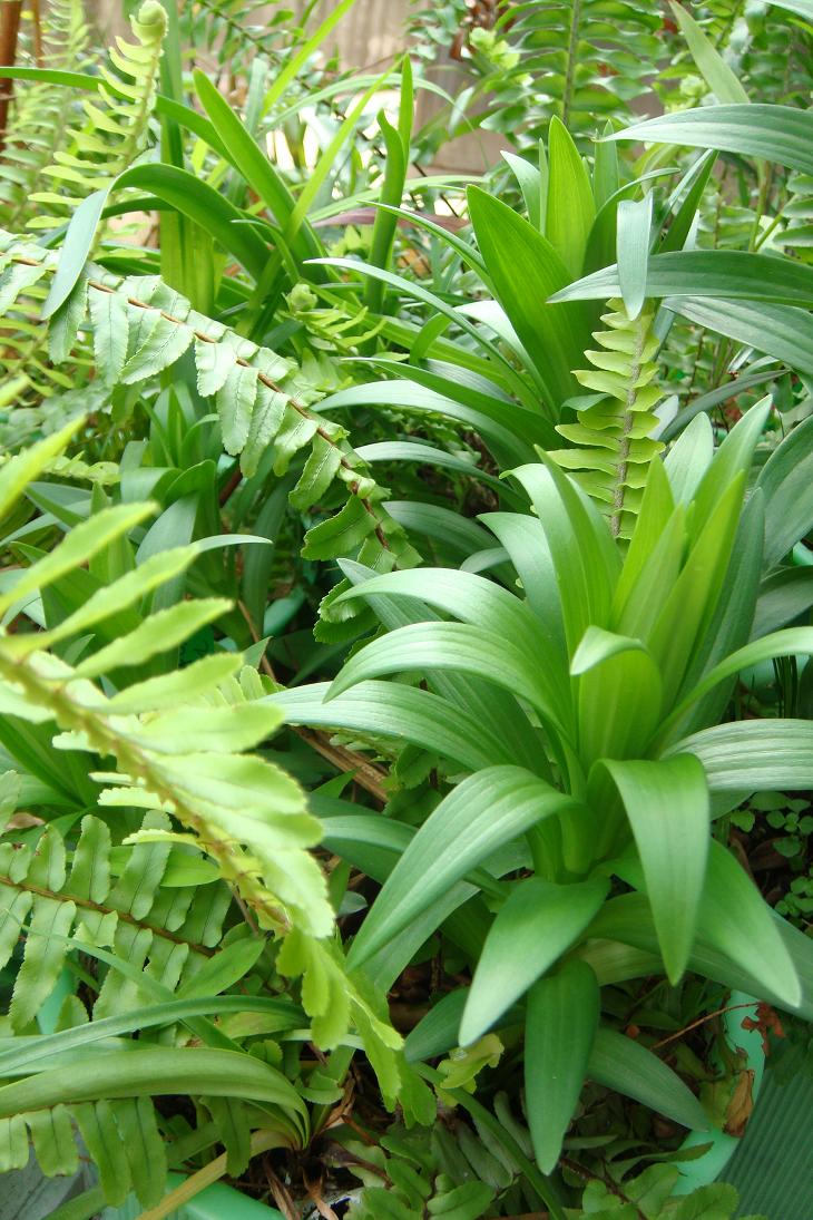 «ö¦¹¦b·sµøµ¡ÂsÄý¹Ï¤ù