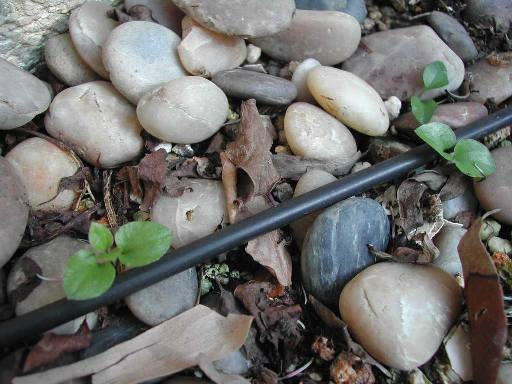 «ö¦¹¦b·sµøµ¡ÂsÄý¹Ï¤ù