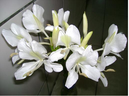 «ö¦¹¦b·sµøµ¡ÂsÄý¹Ï¤ù