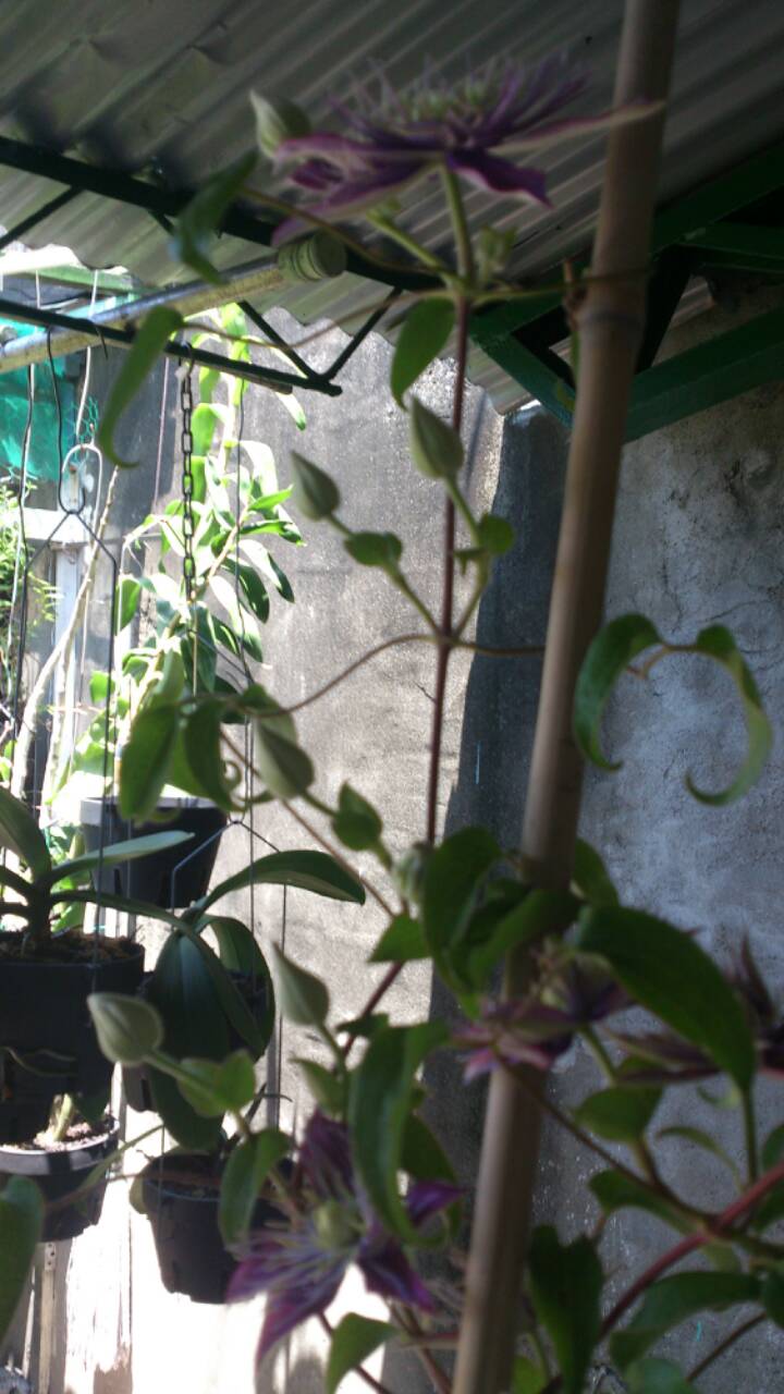 «ö¦¹¦b·sµøµ¡ÂsÄý¹Ï¤ù