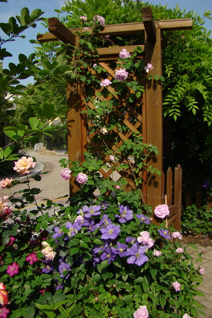 «ö¦¹¦b·sµøµ¡ÂsÄý¹Ï¤ù