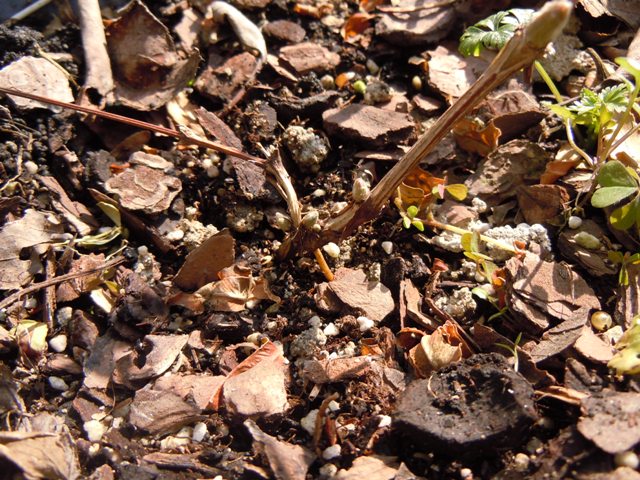 «ö¦¹¦b·sµøµ¡ÂsÄý¹Ï¤ù