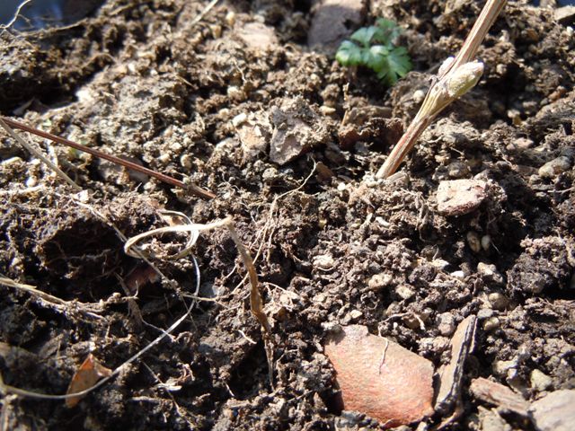 «ö¦¹¦b·sµøµ¡ÂsÄý¹Ï¤ù