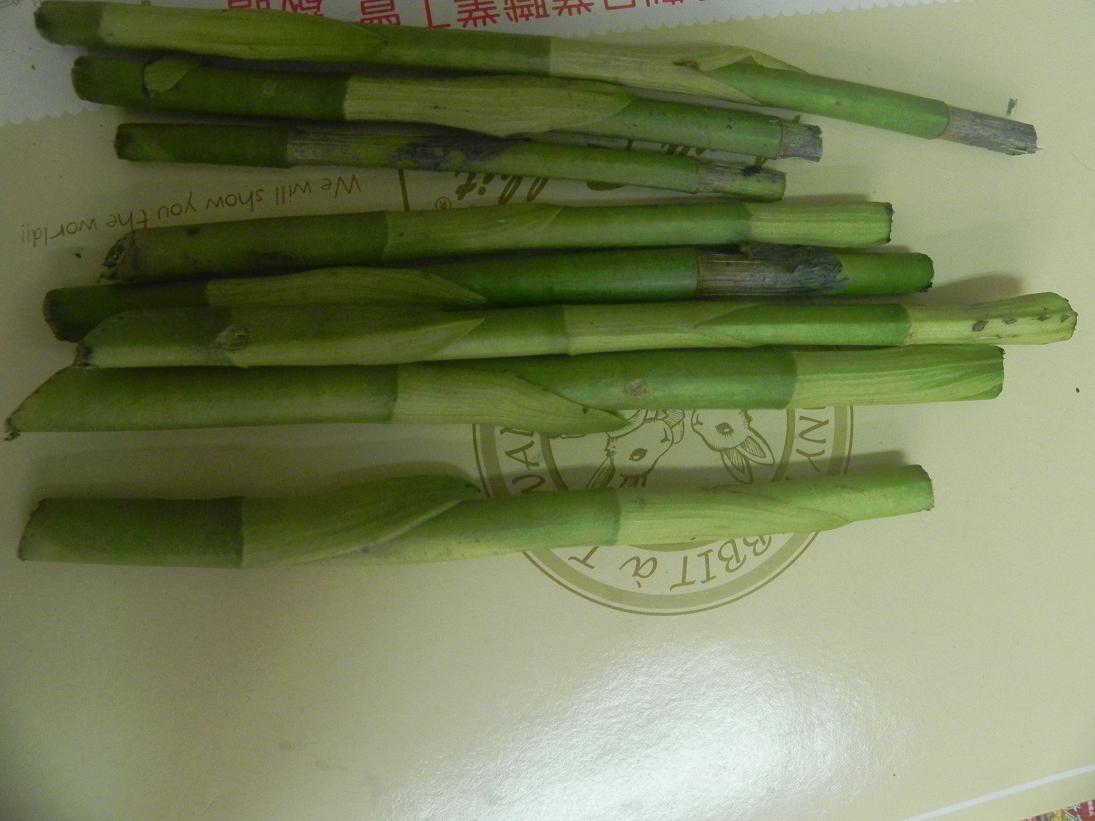 «ö¦¹¦b·sµøµ¡ÂsÄý¹Ï¤ù