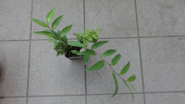 按此在新視窗瀏覽圖片