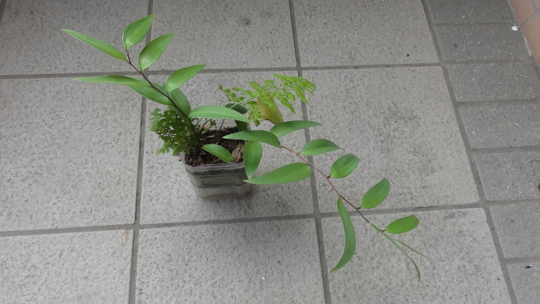 按此在新視窗瀏覽圖片