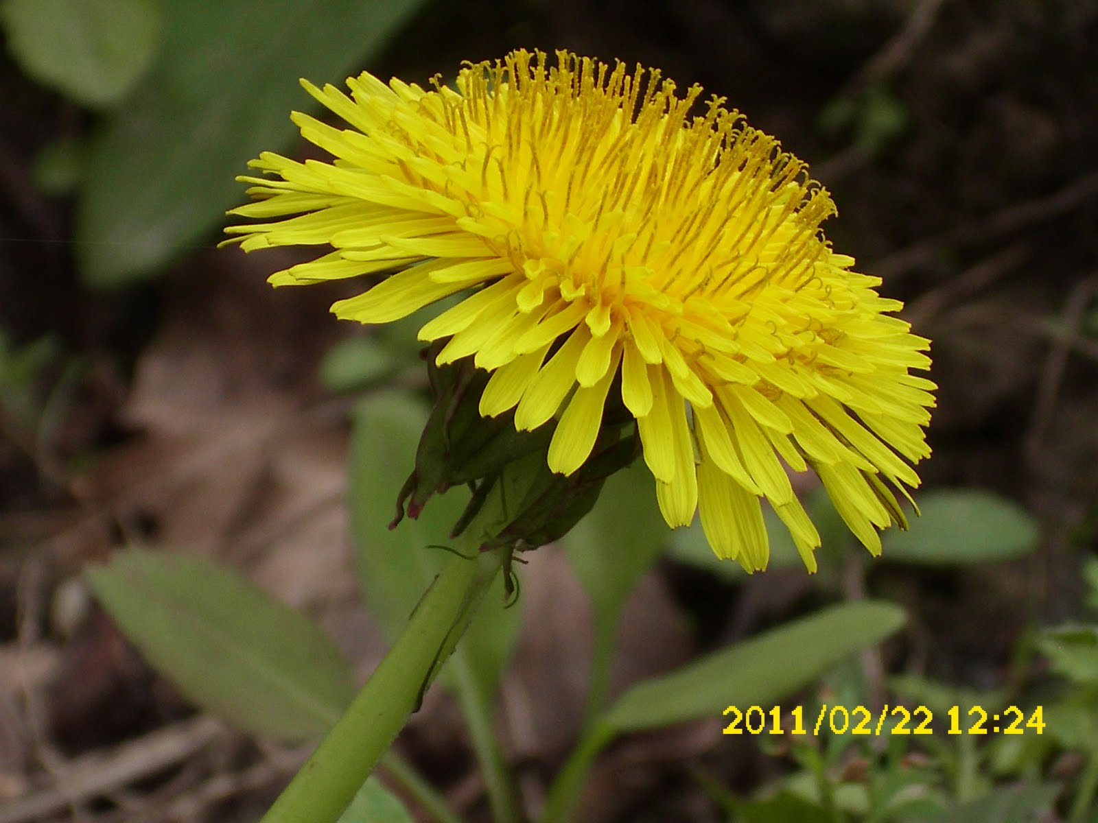 «ö¦¹¦b·sµøµ¡ÂsÄý¹Ï¤ù