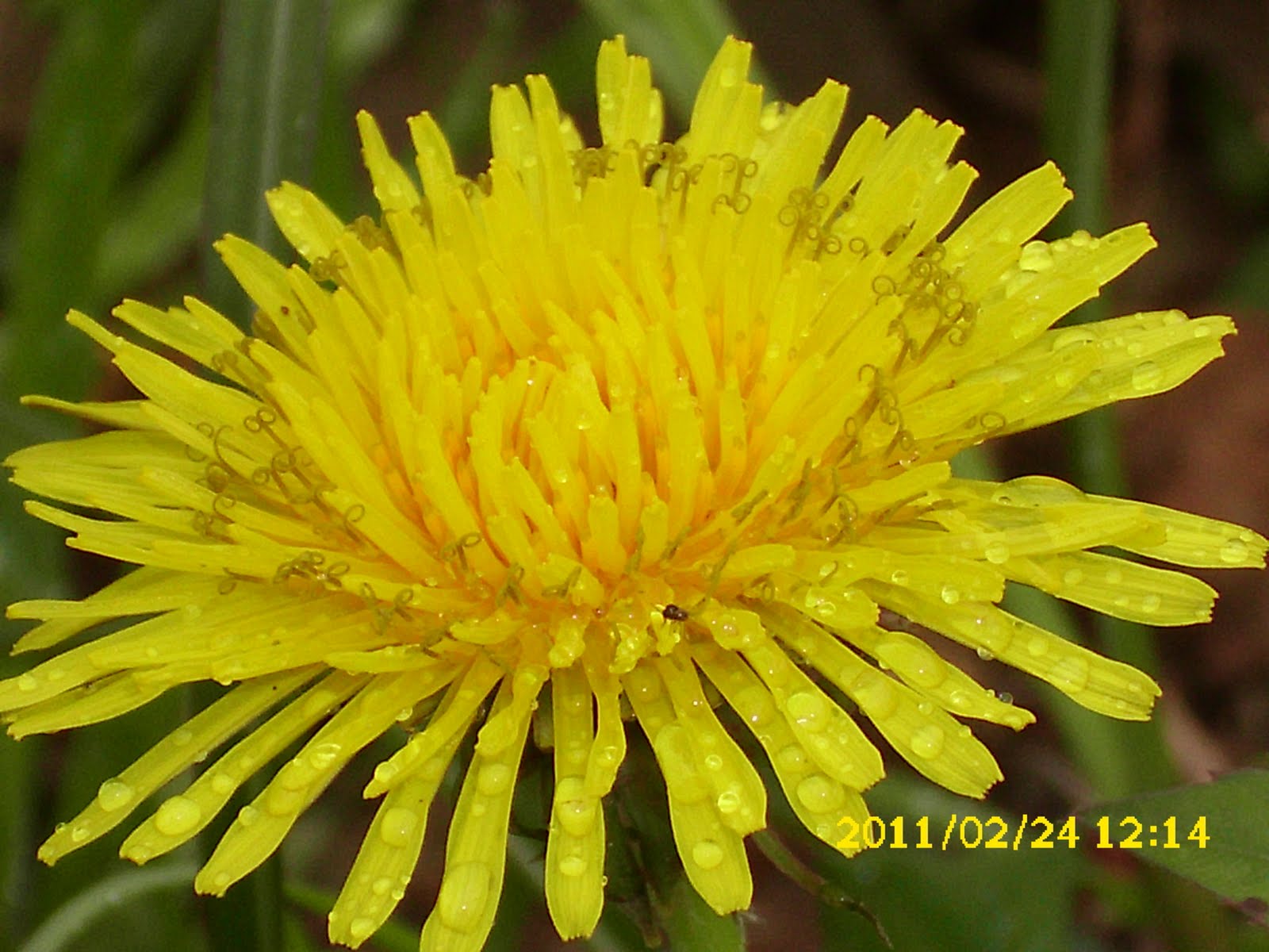 «ö¦¹¦b·sµøµ¡ÂsÄý¹Ï¤ù