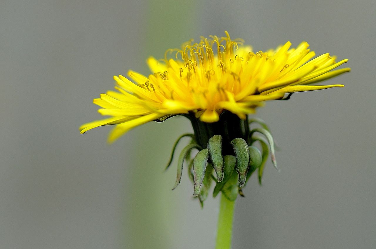 «ö¦¹¦b·sµøµ¡ÂsÄý¹Ï¤ù