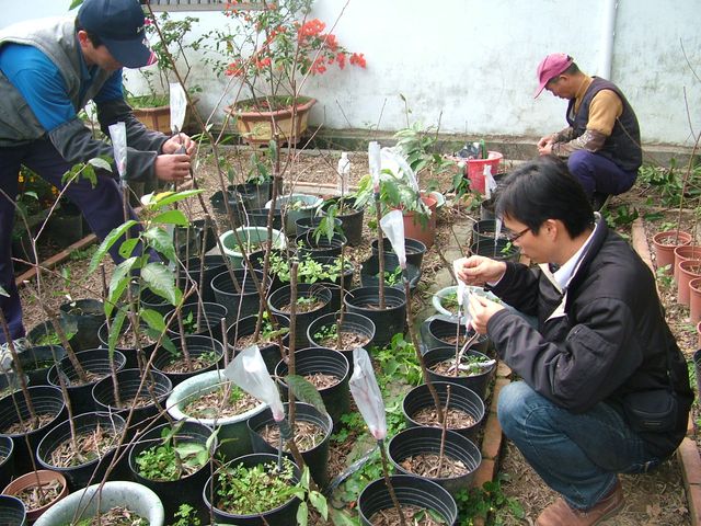 «ö¦¹¦b·sµøµ¡ÂsÄý¹Ï¤ù