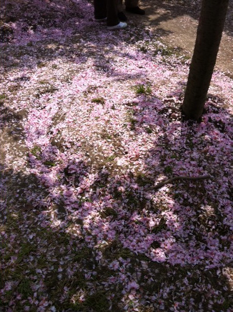 «ö¦¹¦b·sµøµ¡ÂsÄý¹Ï¤ù