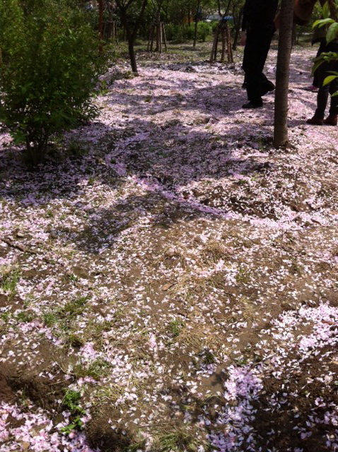 «ö¦¹¦b·sµøµ¡ÂsÄý¹Ï¤ù