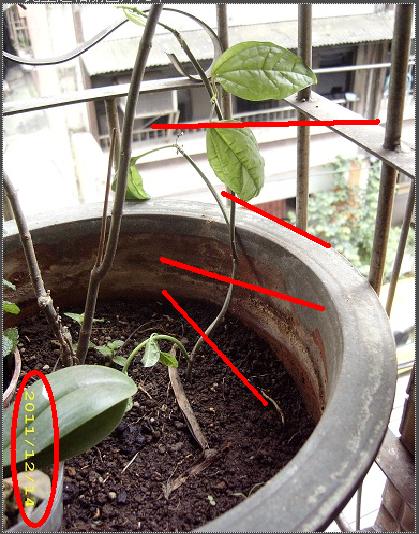 按此在新視窗瀏覽圖片