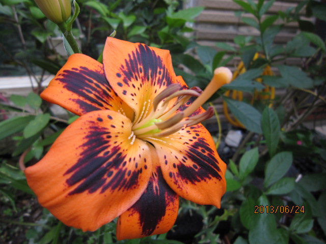 按此在新視窗瀏覽圖片