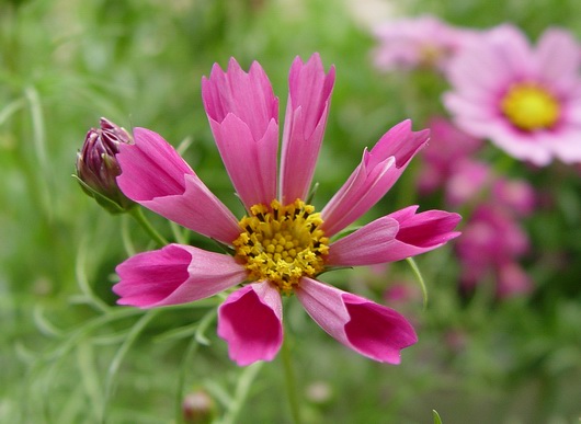 按此在新視窗瀏覽圖片