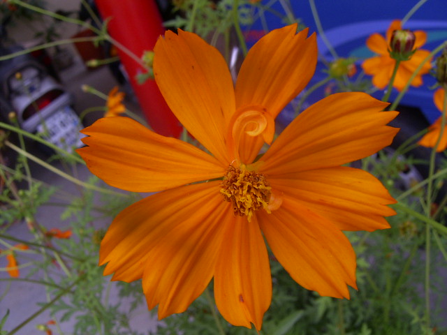 按此在新視窗瀏覽圖片