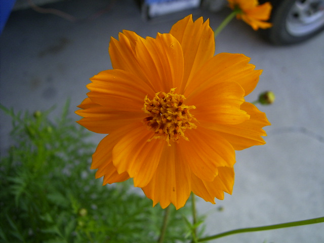 按此在新視窗瀏覽圖片