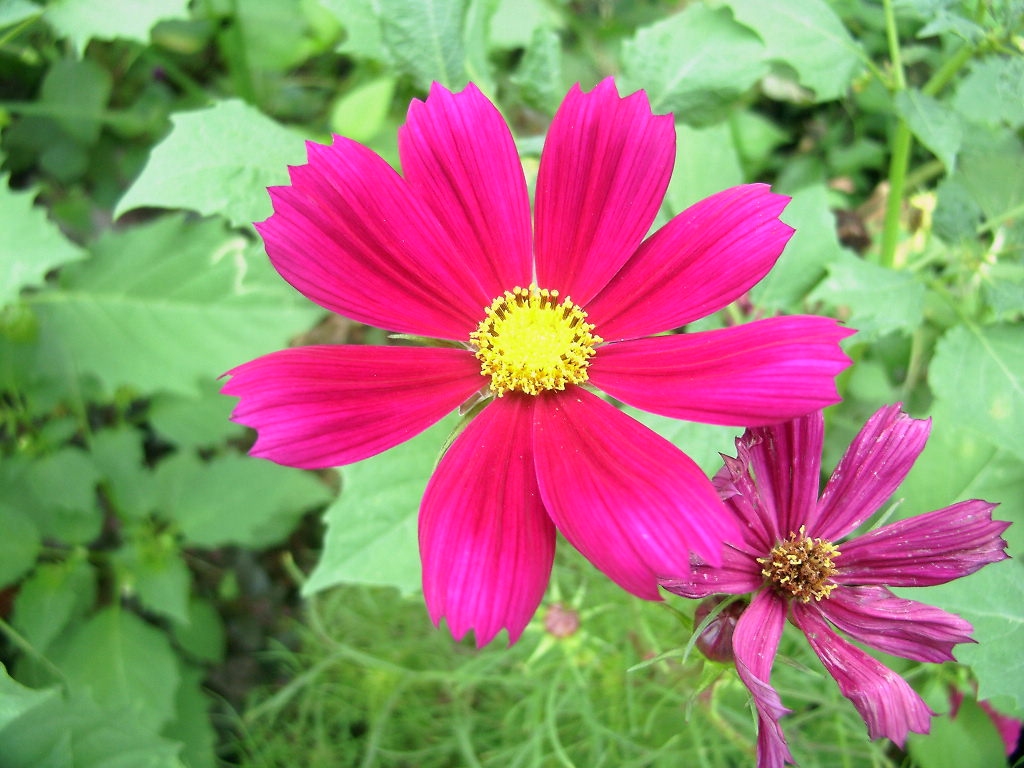 按此在新視窗瀏覽圖片