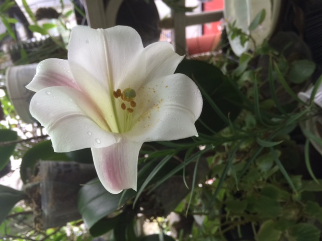 «ö¦¹¦b·sµøµ¡ÂsÄý¹Ï¤ù