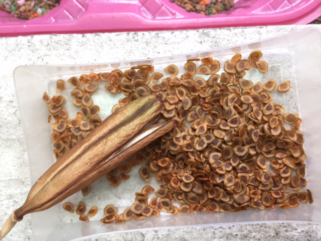 «ö¦¹¦b·sµøµ¡ÂsÄý¹Ï¤ù