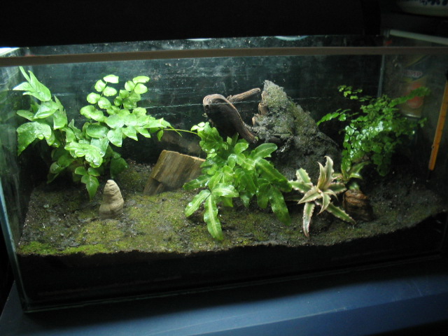 按此在新視窗瀏覽圖片