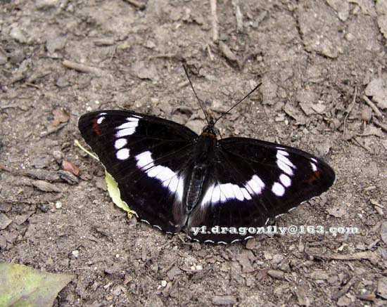 按此在新視窗瀏覽圖片