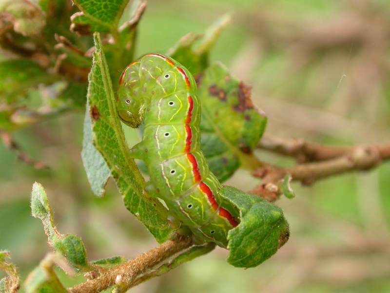 «ö¦¹¦b·sµøµ¡ÂsÄý¹Ï¤ù