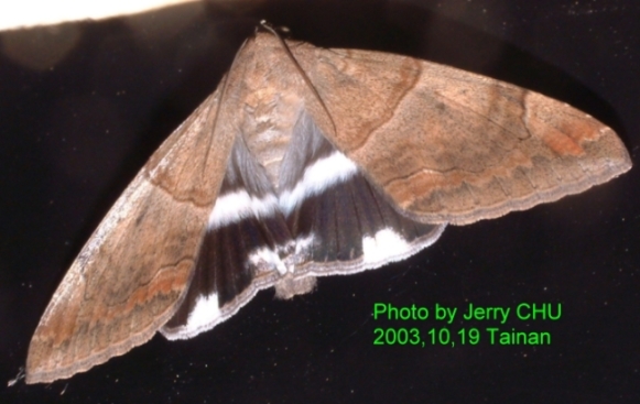 按此在新視窗瀏覽圖片