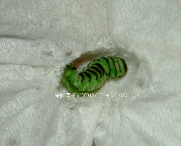 按此在新視窗瀏覽圖片