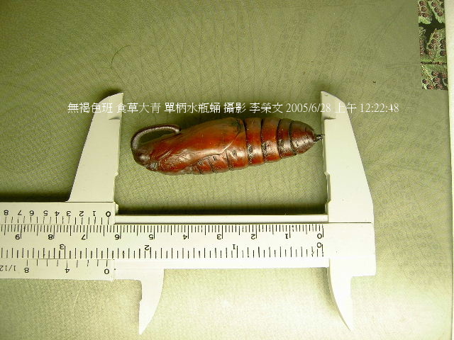 按此在新視窗瀏覽圖片