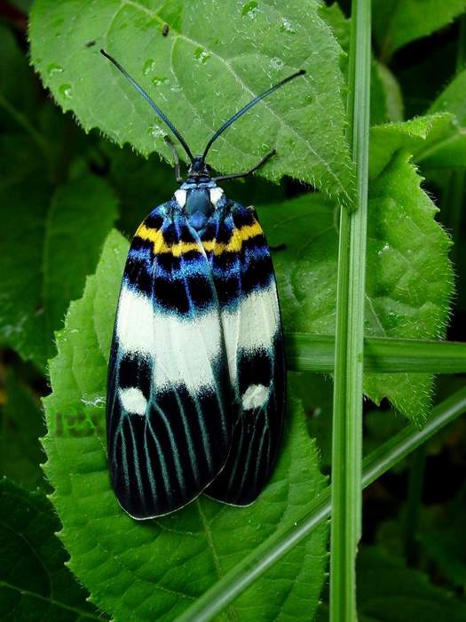 按此在新視窗瀏覽圖片