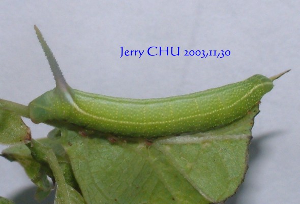 按此在新視窗瀏覽圖片