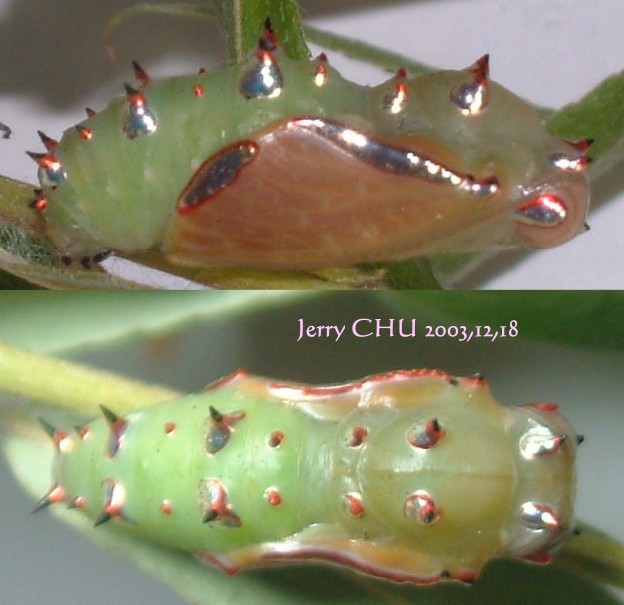 按此在新視窗瀏覽圖片